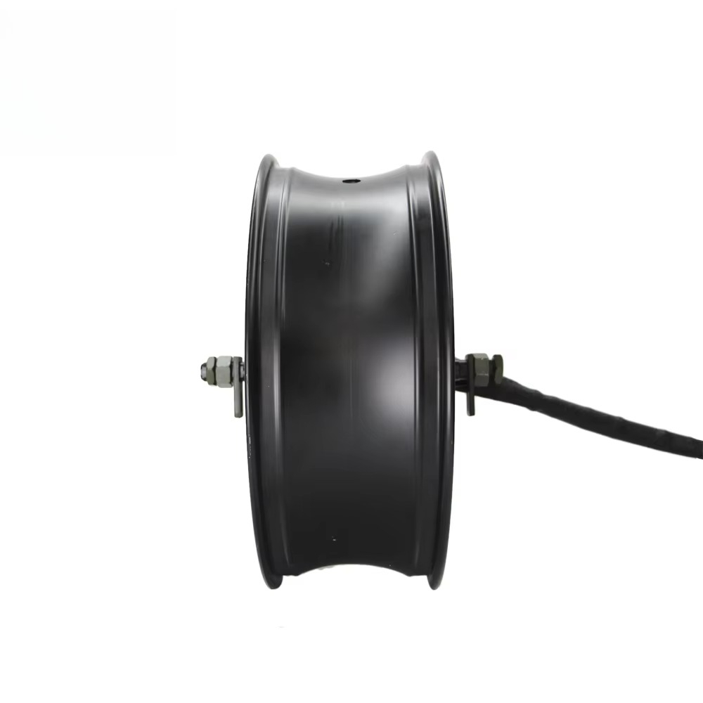 QSMOTOR 17X6.0インチ 273 12000W V - 12000W Electric Motorcycle Hub Motor のレビューと価格